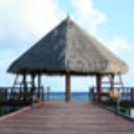 Kwality Restaurant